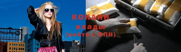 твердый Володарск