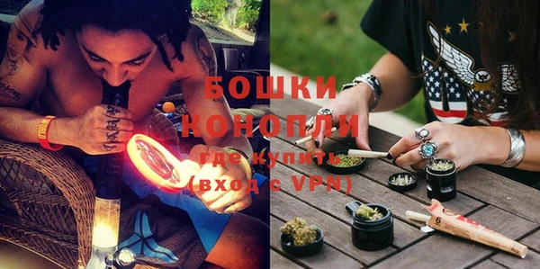 скорость Вяземский