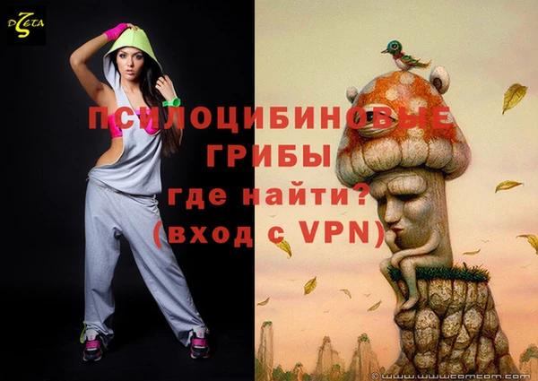 скорость Вяземский